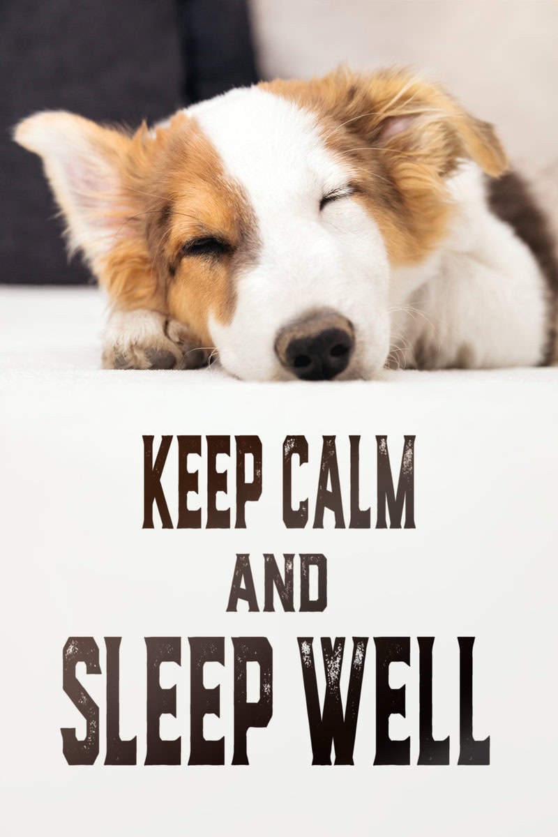 Sleep well when we manage your SQL Server